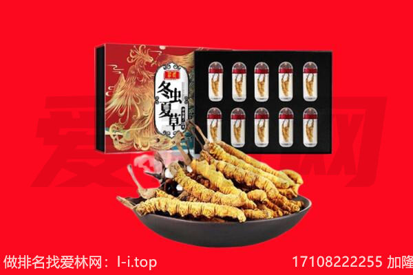 巴音郭楞尉犁县回收虫草.jpg